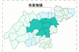 示范区一周年｜上海青浦区朱家角镇镇长乔惠锋谈特色小镇图片