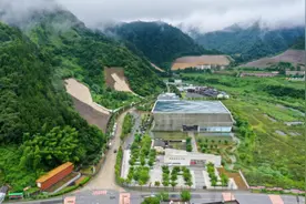 一张纸，寿命1000年！究竟有什么秘诀？图片