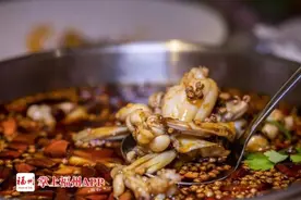 下田抓“田鸡”，福州3男子被送上法庭！还将承担刑事责任图片