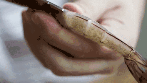 百试百灵的去虾线方法，都在这里了