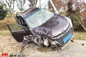 人打个哈欠，车“爬”上了树图片