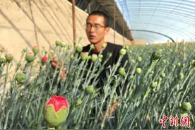 甘肃凉州叔侄扮“护花使者”：视如珍宝育戈壁“花花世界”图片