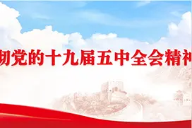 学习贯彻党的十九届五中全会精神中央宣讲团在新疆生产建设兵团宣讲图片