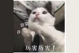 民警怒怼骗子：“我再给你10分钟！”太解气了图片