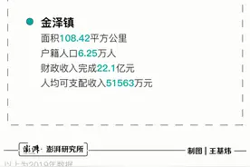 示范区一周年｜上海青浦区金泽镇镇长孙茂谈华为研发中心图片