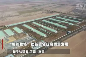 “智能牧场”助新疆乳业高质量发展视频封面