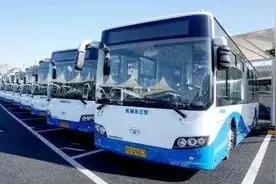 招聘啦！浦东公交招100名驾驶员，人均年收入15万元图片