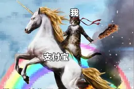意想不到！蚂蚁上市前夕几万网友在线认亲，支付宝：我认图片