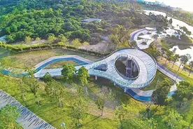 喜迎第四个“深圳人才日”！宝安人才林公园开园迎客图片