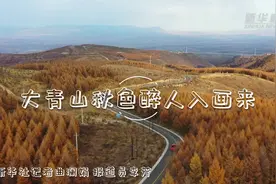 大青山秋色醉人入画来视频封面
