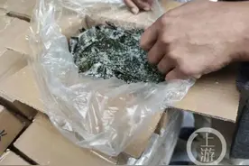 掺盐充重的盐渍海带：5斤货中有1斤盐图片