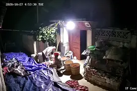 监控里父母的一天让人泪目，烟台小伙：心疼我妈，搬不动苹果她就自己拖图片