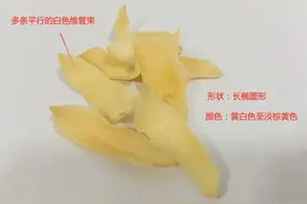 「本草驿站」知时节，食对味！秋日养阴润肺、清心安神的百合图片