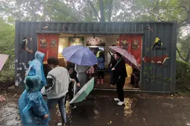 在南京，一起来看猫盟好风景图片