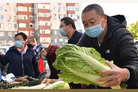 冬储大白菜上市了，现场没人排队图片