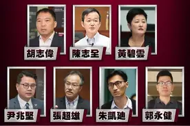 香港7名泛民人士被捕释出什么信号？分析人士：不再纵容有人在立法会阻挠政府施政图片