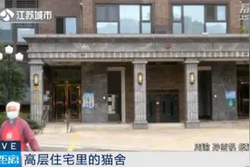 住宅房变身“经营性”猫舍？周边居民难忍噪声、气味……图片