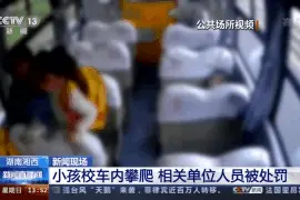 幼儿园学生在校车行驶中攀爬座椅 相关单位人员被处罚图片