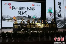 “中华石都”广西柳州邀四方宾客“线上+线下”赏石图片