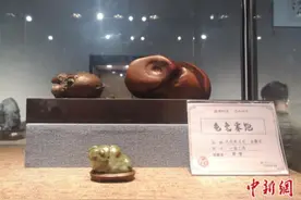鬼斧神工！石头里藏着“动物世界”和山水画图片