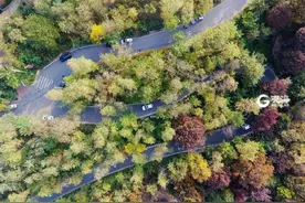 航拍榉林山，这里竟盘着一条“龙”图片