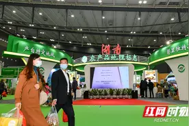 农博时刻丨打造知名农产品 湘味飘进百姓家图片