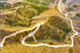 山野绿道助增收图片