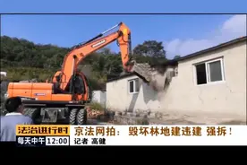 京法网拍：毁坏林地建违建 强拆图片