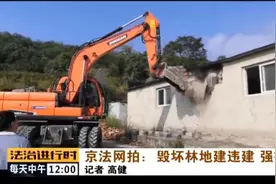 京法网拍：毁坏林地建违建 强拆图片