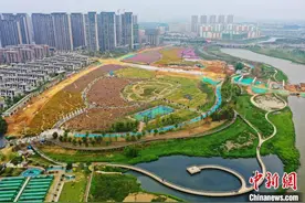 航拍江西南昌城市“花海公园”数百亩鲜花绽放引客来图片