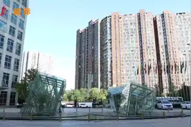 竹藤产业，架起南南合作之桥图片