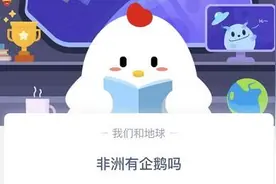 非洲有企鹅吗？非洲为什么会有企鹅 非洲企鹅是什么样子的图片