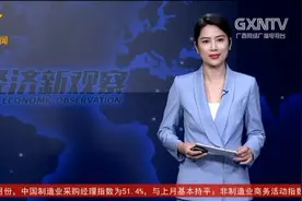 广西企业家高峰论坛在南宁举行，各行各业1000名精英参会图片