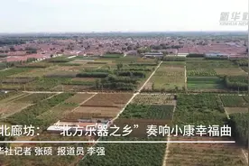 河北廊坊：“北方乐器之乡”奏响小康幸福曲视频封面