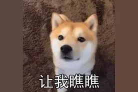 杭州一小伙骑电瓶车上高架，迷路后求助110，结果万万没想到……图片