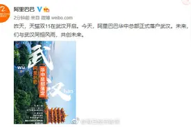 阿里巴巴华中总部落户武汉 预计2026年建成图片