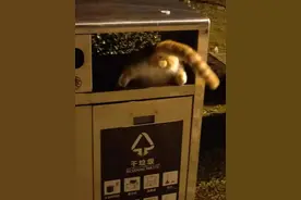 哈哈哈哈笑翻！高校评选秋日校园美图，人气榜首的一张居然是《猫咪蛋蛋》……图片