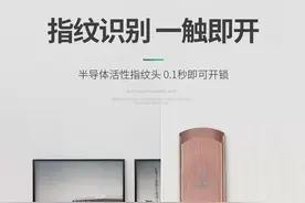 凤凰智能品牌智能指纹锁--双十一昌吉5折预售啦图片