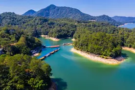 鱼儿也能净化水质 流溪河水库探索生态净水渔业 水质长年保持II类以上图片