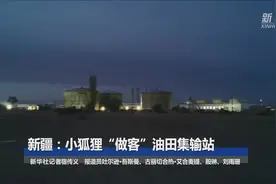 新疆：小狐狸“做客”油田集输站视频封面