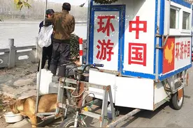 生意失败又如何！东北夫妻一辆电动三轮车，一条狗“穷游”全国图片