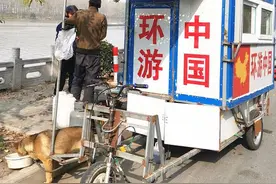 生意失败又如何！东北夫妻一辆电动三轮车，一条狗“穷游”全国图片