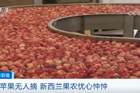 摘苹果，1小时能赚150元！却还招不到人！这个国家十年来首次陷入经济衰退...图片
