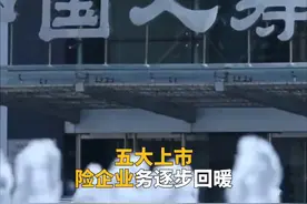 中国财富报道｜ 上市险企保费增速回暖视频封面