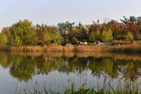 郑州市民休闲又添好去处！龙子湖景区即将全面建成开放图片