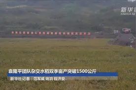 袁隆平团队杂交水稻双季亩产突破1500公斤