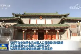 习近平：切实做好第七次全国人口普查工作 为高质量发展提供准确统计信息支持视频封面