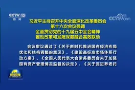 习近平：使改革更好对接发展所需、基层所盼、民心所向视频封面