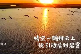 119秒｜你只会说“好美”？当古诗词遇上秋景 体会古人笔下的浪漫景致视频封面