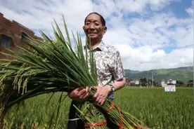 亩产破3000斤！袁隆平的愿望实现了